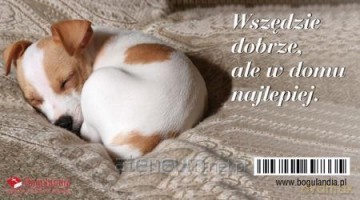 Magnes na lodówkę Wszędzie dobrze, ale w domu najlepiej