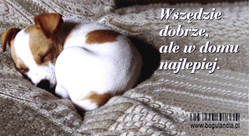 Magnes na lodówkę Wszędzie dobrze, ale w domu najlepiej