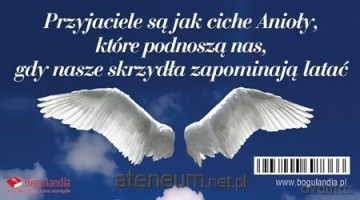 Magnes na lodówkę. Przyjaciele są jak ciche Anioły