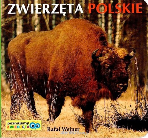 Poznajemy zwierzęta. Zwierzęta polskie - Rafał Wejner [KSIĄŻKA]