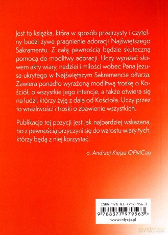 Przyjdźcie do Mnie wszyscy [KSIĄŻKA]