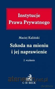 Szkoda na mieniu i jej naprawienie - Maciej Kaliński [KSIĄŻKA]