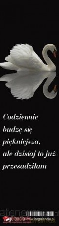 Zakładka do książki - Codziennie budzę się