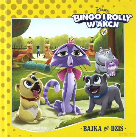 Bingo i Rolly w akcji. Bajka na dziś - Michael Olson [KSIĄŻKA]
