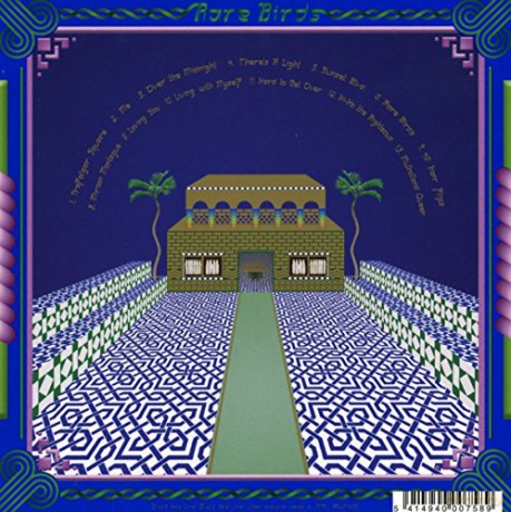 Jonathan Wilson: Rare Birds  [CD]