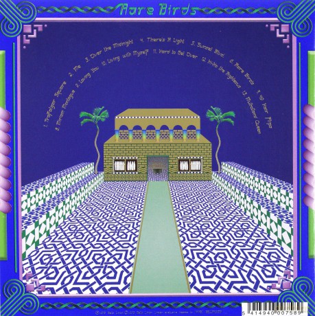 Jonathan Wilson: Rare Birds  [CD]
