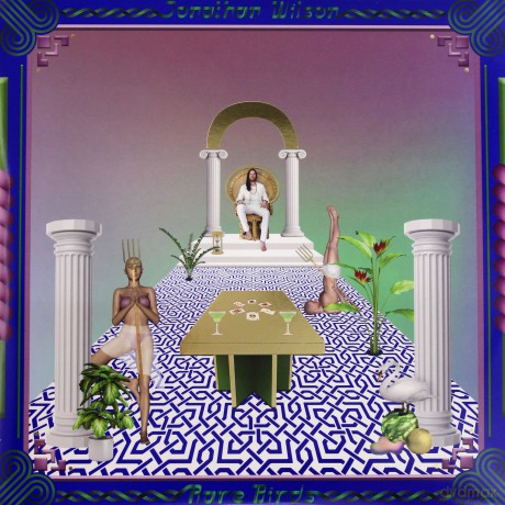 Jonathan Wilson: Rare Birds [Winyl]