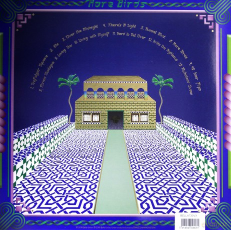 Jonathan Wilson: Rare Birds (Limited Edition) [Winyl]
