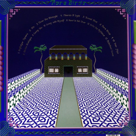 Jonathan Wilson: Rare Birds (Limited Edition) [Winyl]