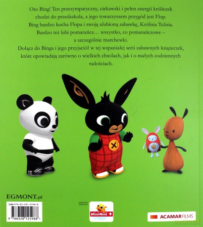 Bing. Wielka zjeżdżalnia. Ilustrowana czytanka - Ted Dewan [KSIĄŻKA]
