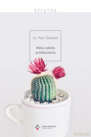Effatha mała szkoła przebaczania - Piotr Śliżewski [KSIĄŻKA]