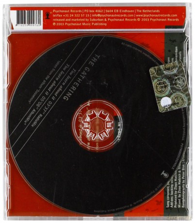 The Gathering: You Learn About It (single) [CD]