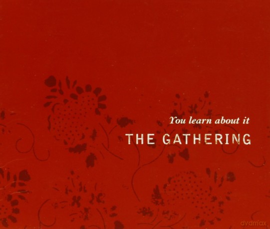 The Gathering: You Learn About It (single) [CD]