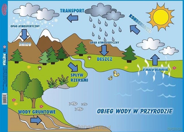 Obieg wody [PUZZLE]