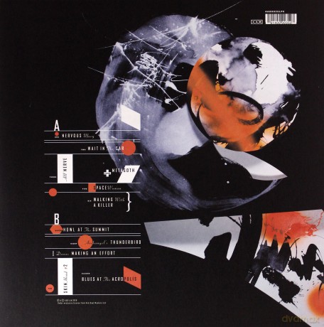The Breeders: All Nerve (Limited Edition) [Winyl]