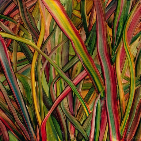 Gengahr: Where Wildness Grows [Winyl]