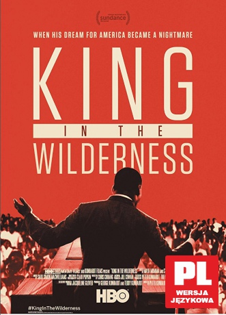 King in the Wilderness [DVD]