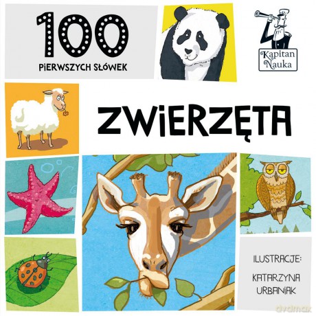 100 pierwszych słówek zwierzęta [KSIĄŻKA]