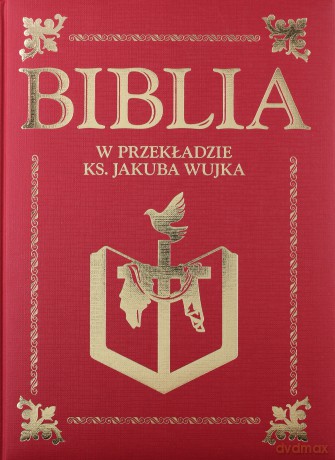 Biblia w przekładzie ks Jakuba Wujka z 1599 r - Jakub Wujek [KSIĄŻKA]