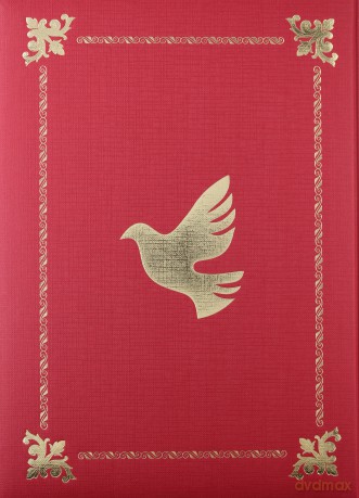Biblia w przekładzie ks Jakuba Wujka z 1599 r - Jakub Wujek [KSIĄŻKA]