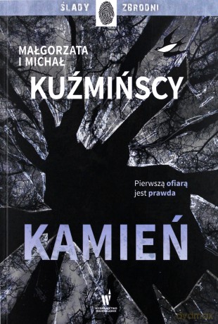 Kamień (pocket) - Michał Kuźmiński [KSIĄŻKA]