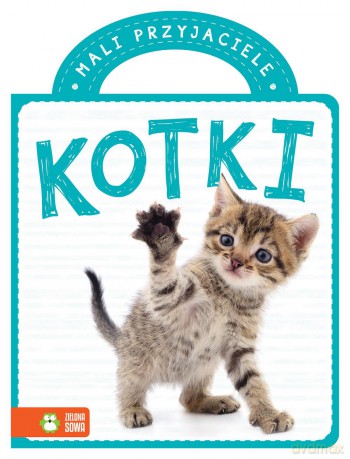 Kotki. Mali przyjaciele [KSIĄŻKA]