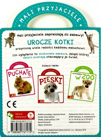 Kotki. Mali przyjaciele [KSIĄŻKA]