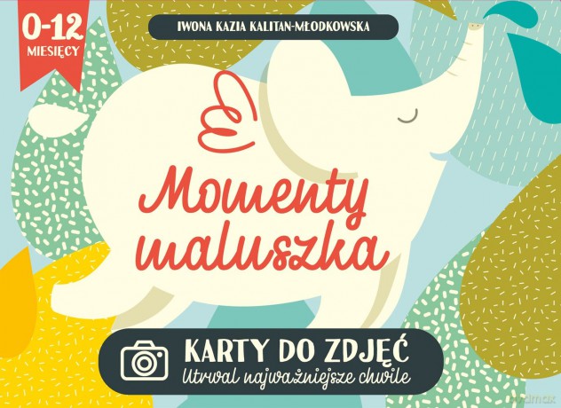 Momenty maluszka. Karty do zdjęć - Iwona Kazia Kalitan Młodkowska [KSIĄŻKA]