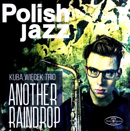 Kuba Więcek Trio: Another Raindrop [Winyl]