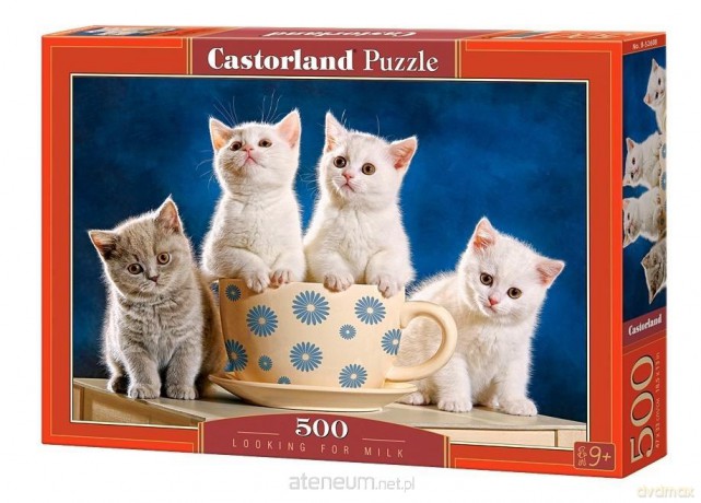 CASTOR 500 el. Looking for Milk [PUZZLE]