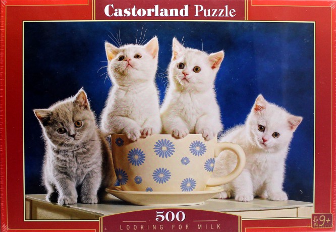 CASTOR 500 el. Looking for Milk [PUZZLE]