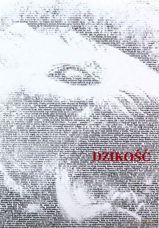 Dzikość - Nicola Lagioia [KSIĄŻKA]