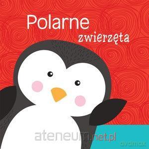 Polarne zwierzęta [KSIĄŻKA]