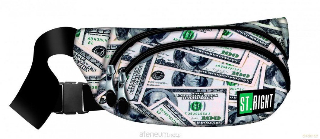 Saszetka na pasek 2-komorowa Dollars