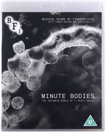 Minute Bodies: The Intimate World of F. Percy [Blu-Ray]+[DVD]