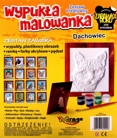 Zestaw kreatywny Dachowiec