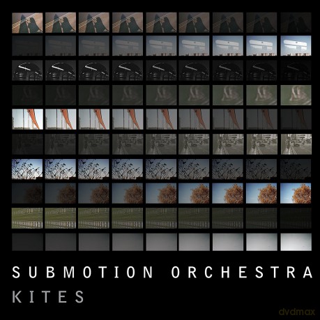 Submotion Orchestra: Kites [Winyl]