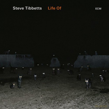 Steve Tibbets: Life Of [CD]