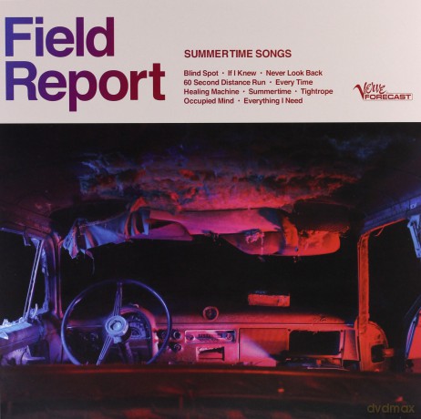 Fieldreport: Summertime Songs [Winyl]
