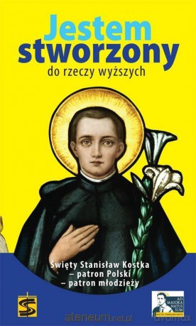 Jestem stworzony do rzeczy wyższych [KSIĄŻKA]