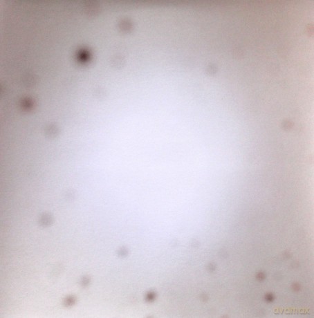 Yo La Tengo: There's A Riot Going On [Winyl]
