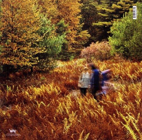 Yo La Tengo: There's A Riot Going On [Winyl]