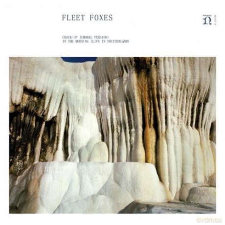 Fleet Foxes: Crack-Up (Choral Version) / In The Morning (RSD) [Winyl]