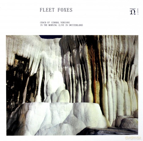 Fleet Foxes: Crack-Up (Choral Version) / In The Morning (RSD) [Winyl]