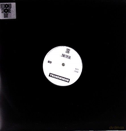Rudimental: Healing / No Fear (RSD) [Winyl]