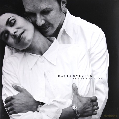David Sylvian: Dead Bees On A Cake (Limited) (RSD) [2xWinyl]