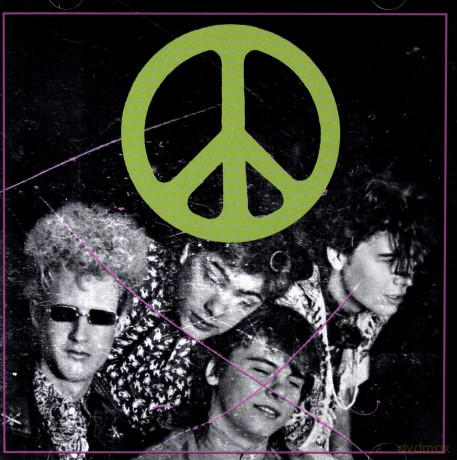 The Flaming Lips: Scratching The Door: The First Recordings Of The Flaming Lips [CD]
