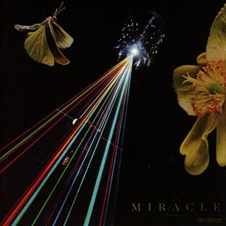 Miracle: The Strife Of Love In A Dream [CD]