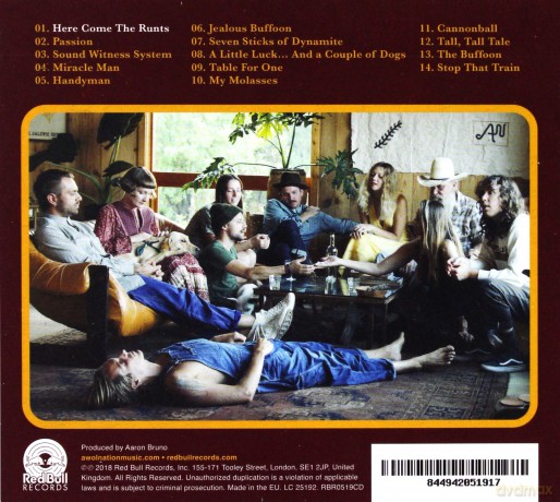 Awolnation: Here Come The Runts  [CD]