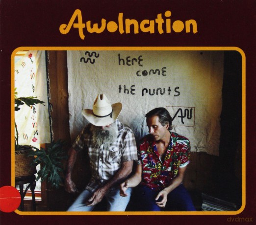 Awolnation: Here Come The Runts  [CD]